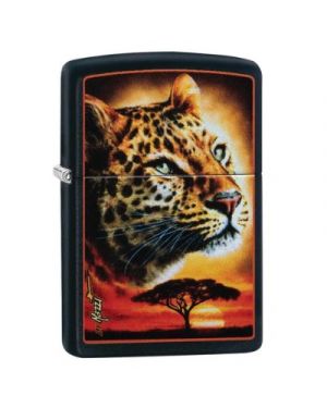 Zippo  Mazzi